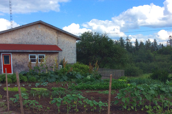 Compost for flowerbeds in Halifax, Nova Scotia